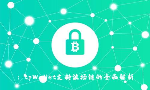 : tpWallet支持波场链的全面解析