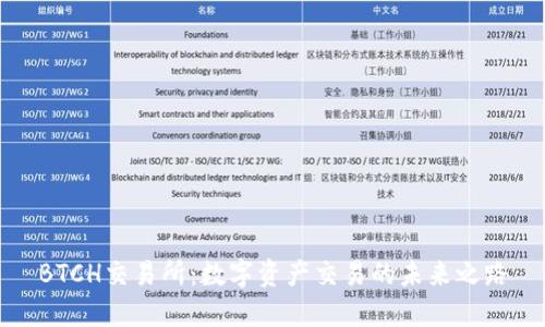 BTCH交易所：数字资产交易的未来之路