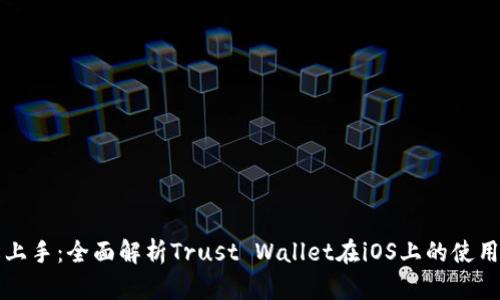 轻松上手：全面解析Trust Wallet在iOS上的使用指南