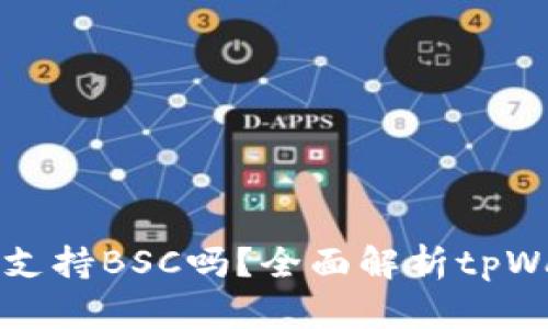 tpWallet电脑版支持BSC吗？全面解析tpWallet功能与优势