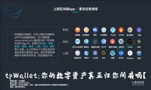 tpWallet：你的数字资产真正归你所有吗？