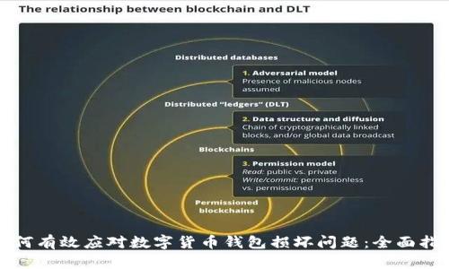 如何有效应对数字货币钱包损坏问题：全面指南