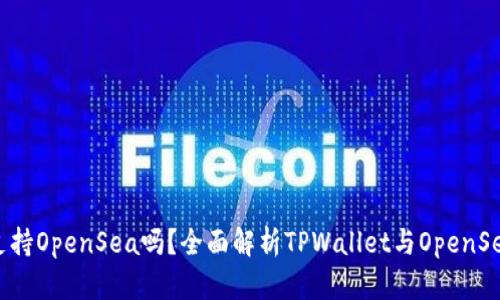 tpWallet支持OpenSea吗？全面解析TPWallet与OpenSea的兼容性