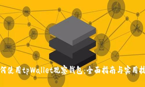 如何使用tpWallet观察钱包：全面指南与实用技巧