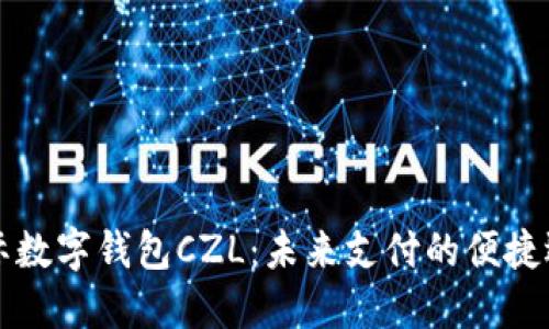 国际数字钱包CZL：未来支付的便捷选择