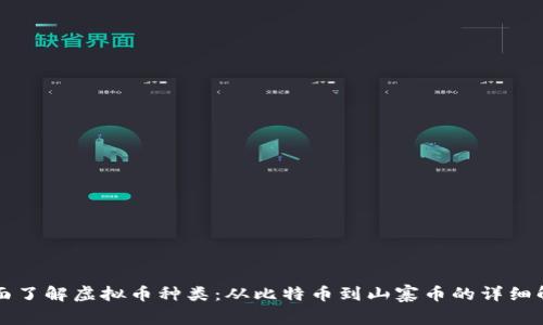 全面了解虚拟币种类：从比特币到山寨币的详细解析