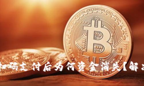 tpWallet扫码支付后为何资金消失？解决方法解析