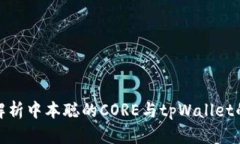 深入解析中本聪的CORE与