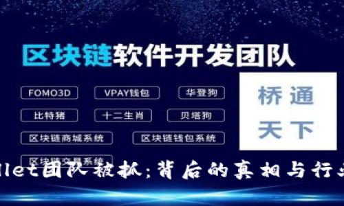 tpWallet团队被抓：背后的真相与行业影响