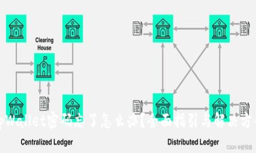 tpWallet密码忘了怎么办？全面指引与解决方案