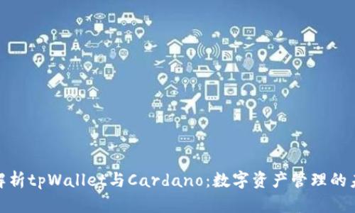 : 全面解析tpWallet与Cardano：数字资产管理的未来趋势