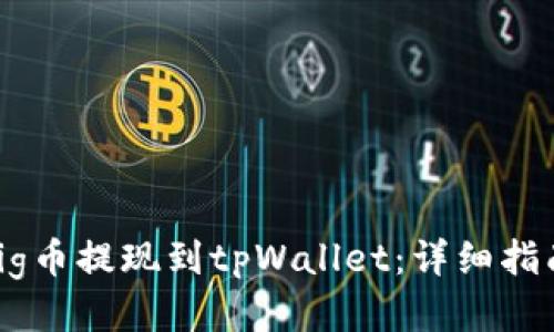 如何将pig币提现到tpWallet：详细指南与步骤