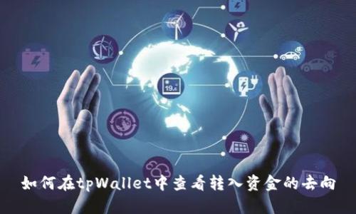 如何在tpWallet中查看转入资金的去向