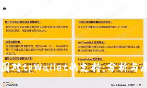 中国对tpWallet的支持：分析与展望