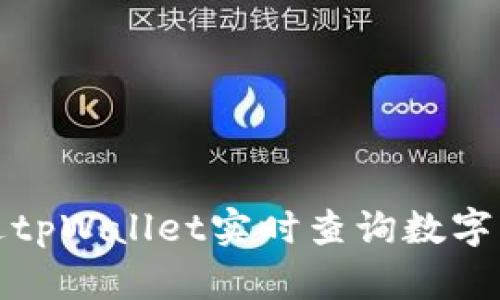 如何通过tpWallet实时查询数字货币价格