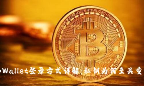 tpWallet登录方式详解：私钥为何至关重要