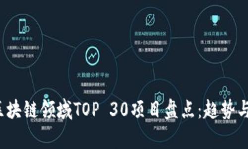 2023年区块链领域TOP 30项目盘点：趋势与前景分析