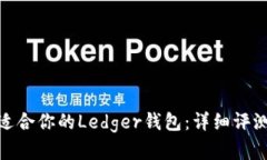 选择最适合你的Ledger钱包：详细评测与比较