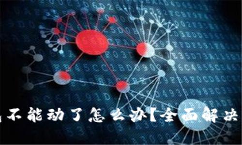 区块链钱包不能动了怎么办?全面解决方案与建议