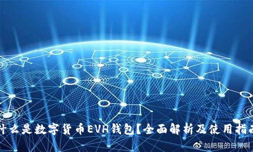 什么是数字货币EVH钱包？全面解析及使用指南