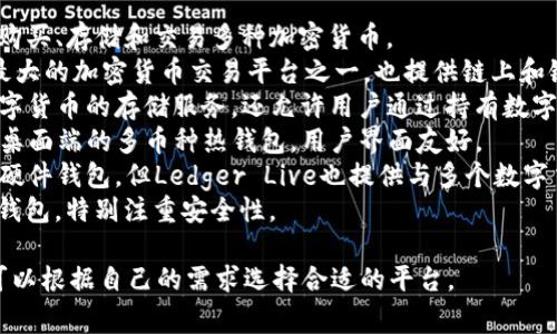 虚拟币钱包平台有很多，最常见的一些包括：

1. **Coinbase**：允许用户购买、存储和交易多种加密货币。
2. **Binance**：作为全球最大的加密货币交易平台之一，也提供链上和链下钱包服务。
3. **BlockFi**：不仅提供数字货币的存储服务，还允许用户通过持有数字资产获得利息。
4. **Exodus**：一种手机和桌面端的多币种热钱包，用户界面友好。
5. **Ledger**：虽然主要为硬件钱包，但Ledger Live也提供与多个数字货币相关的管理和交易功能。
6. **Trezor**：同样是硬件钱包，特别注重安全性。

这些钱包平台各有特点，你可以根据自己的需求选择合适的平台。