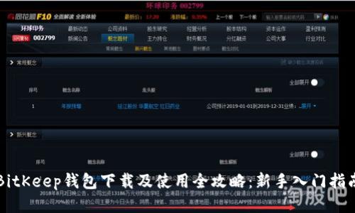 BitKeep钱包下载及使用全攻略：新手入门指南