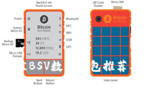 2023年最佳BSV数字钱包推荐及使用指南