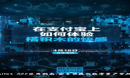 tpWallet APP使用指南：安全便捷的数字资产管理工具
