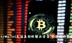  tpWallet充值未到账解决方