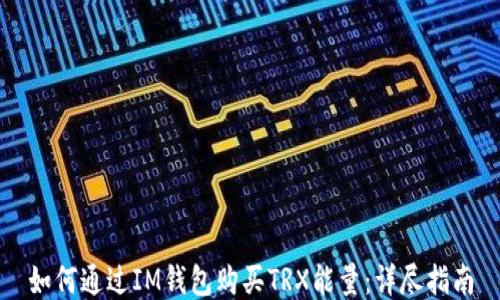 
如何通过IM钱包购买TRX能量：详尽指南