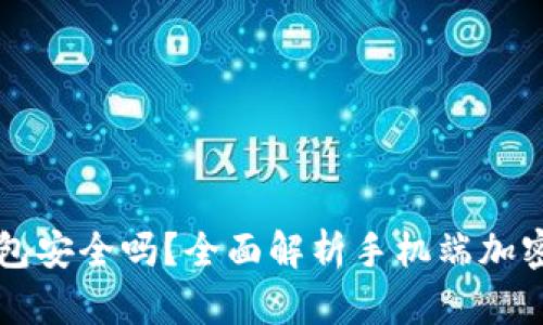 手机端加密钱包安全吗？全面解析手机端加密钱包的安全性