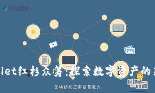 tpWallet红杉众筹：探索数字资产的新机遇