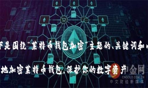 好的，以下是围绕“莱特币钱包加密”主题的、关键词和内容大纲。

如何安全地加密莱特币钱包，保护你的数字资产