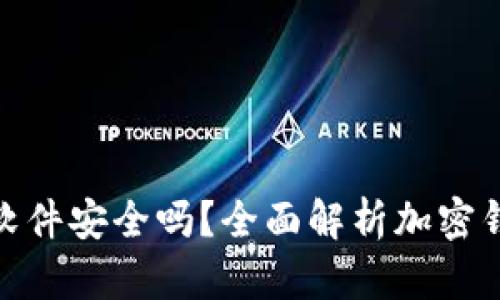 加密币钱包软件安全吗?全面解析加密钱包的安全性