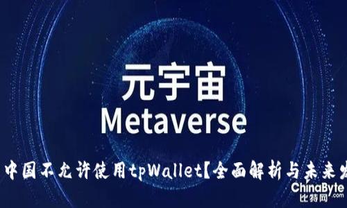  为什么中国不允许使用tpWallet？全面解析与未来发展趋势