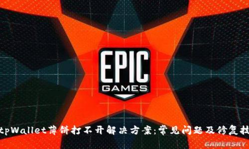 : tpWallet薄饼打不开解决方案：常见问题及修复技巧