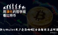 大陆tpWallet用户受影响吗？全面解析与应对策略