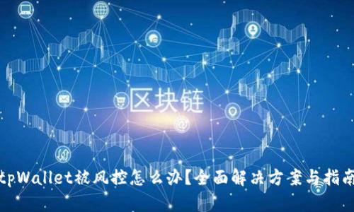 tpWallet被风控怎么办？全面解决方案与指南