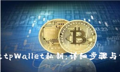 如何安全修改tpWallet私钥：详细步骤与常见问题解答