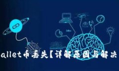 tpWallet币丢失？详解原因与