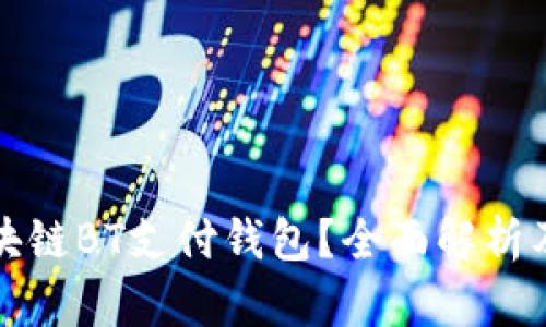 什么是区块链BT支付钱包？全面解析及使用指南