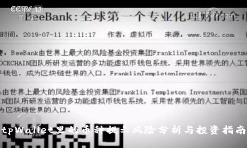 tpWallet里的币种提示风险分析与投资指南