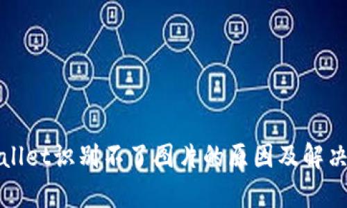 tpWallet识别不了图片的原因及解决方案