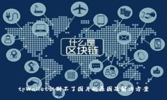 tpWallet识别不了图片的原因及解决方案