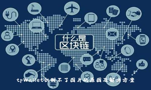 tpWallet识别不了图片的原因及解决方案