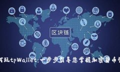 如何玩tpWallet：一步步引导您掌握加密货币管理