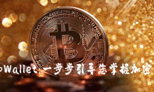 如何玩tpWallet：一步步引导您掌握加密货币管理