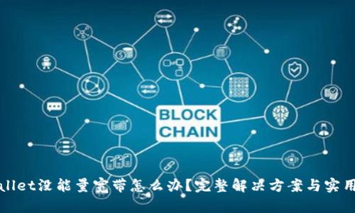 tpWallet没能量宽带怎么办？完整解决方案与实用技巧