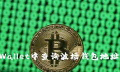 如何在tpWallet中查询波场钱