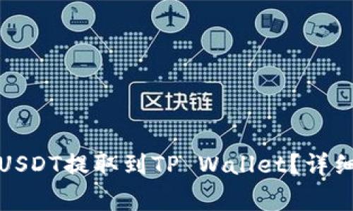 如何将分投趣的USDT提取到TP Wallet？详细步骤与注意事项
